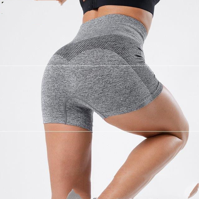 Fitness Zone Sweat Seamless Shorts