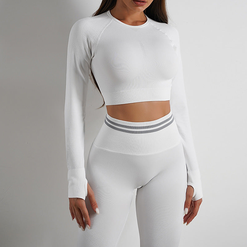 Flex Sports Long Sleeve Crop Top