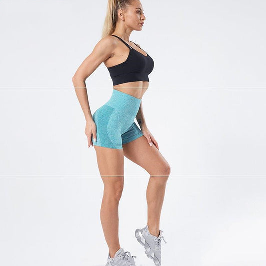 Fitness Zone Sweat Seamless Shorts